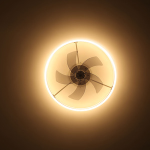 LED Ring Design Ceiling Fan Light by Livingandhome