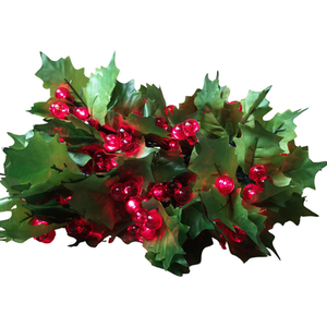 Christmas LED Red Berry and Holly Lights Green Cable - Red by Samuel Alexander