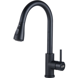 Stainless Steel Pull-Out Mixer Water Tap by Livingandhome