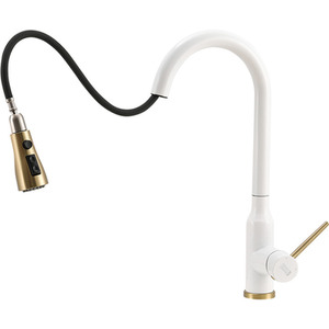 Retractable Pull-Down Kitchen Tap by Livingandhome