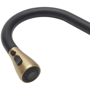 Stainless Steel Pull-Out Mixer Water Tap by Livingandhome