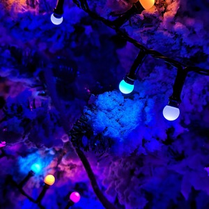 Frosted Berry Christmas Lights with LEDs by Samuel Alexander