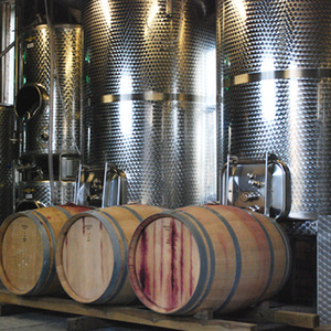 Vineyard Tour and Tasting with Lunch or Afternoon Tea for Two Gift Experience - White by Buyagift