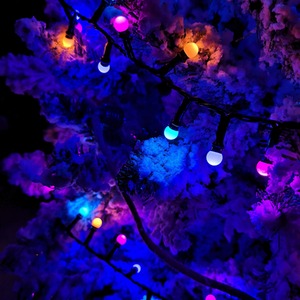 Frosted Berry Christmas Lights with LEDs by Samuel Alexander