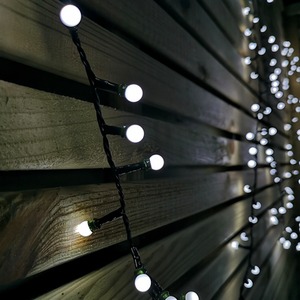 Frosted Berry Christmas Lights with LEDs by Samuel Alexander