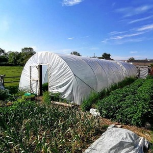 18Ft Heavy Duty Polytunnel Kit - Professional Greenhouse by Direct Polytunnels