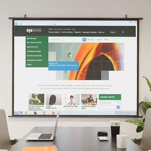 Indoor Portable Black Backed Projector Screen - Black / 215.5cm by Livingandhome