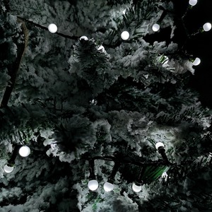 Frosted Berry Christmas Lights with LEDs by Samuel Alexander