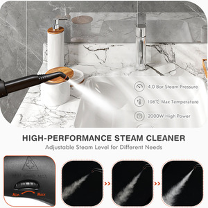 Multipurpose Steam Cleaner with 20 Accessories by Costway