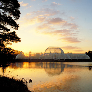 Visit to Kew Gardens and Palace for Two Gift Experience - White by Buyagift