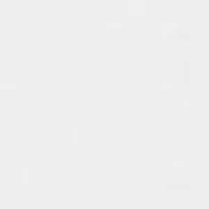 SONGMICS Double Kitchen Bin with Soft-Close Lids - White by SONGMICS