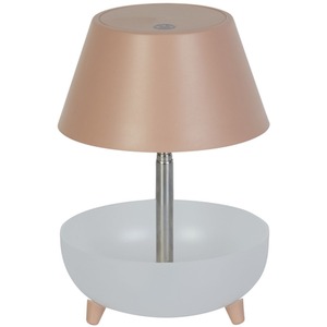 Rechargeable Pink Storage Table Lamp - Pink by Lighting Collection