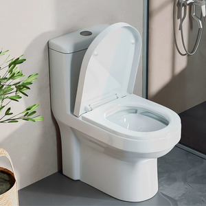 Soft Close D Shape Toilet Seat - White