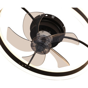 LED Ring Design Ceiling Fan Light by Livingandhome