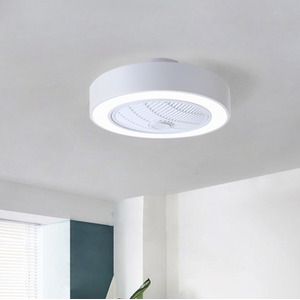 Fan Light with Adjustable Color Temperature and Brightness - White by Livingandhome