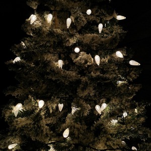 Multi action Pine Cone Christmas Lights - Warm White by Samuel Alexander