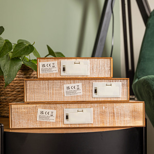 Set of 3 Battery Operated Christmas Trees with LEDs - Brown by Samuel Alexander