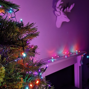 Premier 5m 50 Rainbow LED Battery Operated Christmas Lights - Rainbow by Samuel Alexander