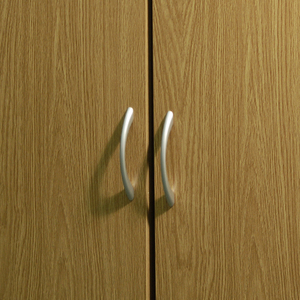 COLUMBUS - Double Door 324 CD 213 DVD Media Storage Cabinet - Oak - Oak by Watsons