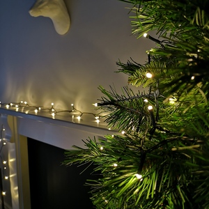 Premier 200 LED Warm Christmas Lights with Timer - Cool White by Samuel Alexander