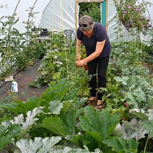 10ft Straight Sided Polytunnel Kit, Heavy Duty Professional Greenhouse by Direct Polytunnels