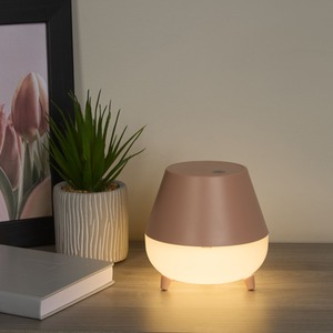 Rechargeable Pink Storage Table Lamp - Pink by Lighting Collection