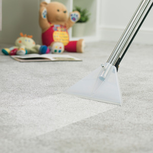 240V George 3-in-1 Cleaner - Green by Henry