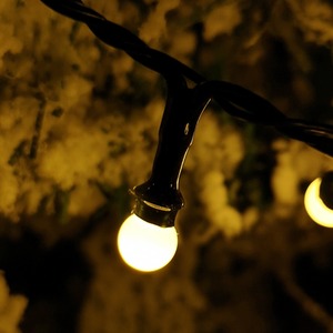 Frosted Berry Christmas String Lights - Warm White by Samuel Alexander