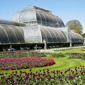 Visit to Kew Gardens and Palace for Two Gift Experience - White by Buyagift
