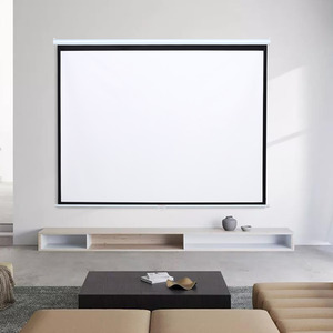 Manual Projector Screen Matt Pull Down Projection by Livingandhome