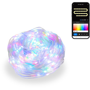 2M x 2M Smart RGBIC Neon Curtain String Lights - Blue by ValueLights