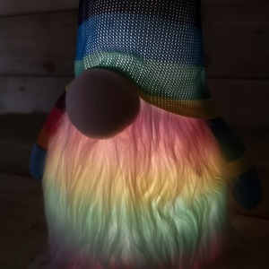 Battery Operated Lit Christmas Rainbow Gonk - Rainbow / 50cm Rainbow Gonk - Sitting by Samuel Alexander