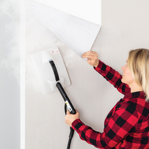 Steam Dynamo Multi Tool Steam Cleaner - Black by Ewbank