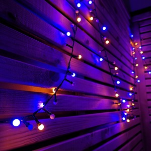 Frosted Berry Christmas String Lights by Samuel Alexander