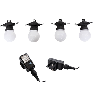 Set of 10 Connectable Party Festoon Lights with LEDs - White by Samuel Alexander