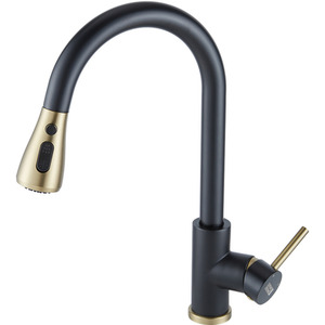 Stainless Steel Pull-Out Mixer Water Tap by Livingandhome