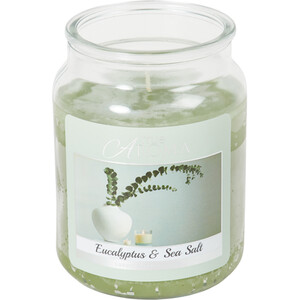 Eucalyptus & Sea Salt Mason Jar Candle - Green by True Aroma