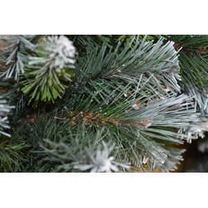 Frosted Glacier Christmas Wreath with Pine Cones - Green / White by Samuel Alexander