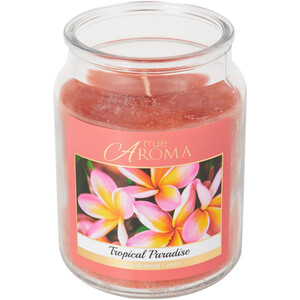 Tropical Paradise Mason Jar Candle - Orange by True Aroma
