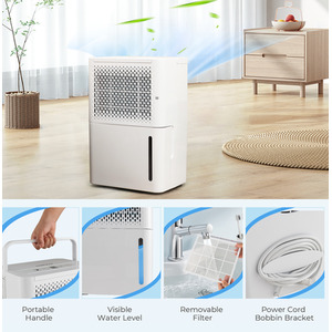 12L Per Day Dehumidifier with Drain Hose - White by Costway