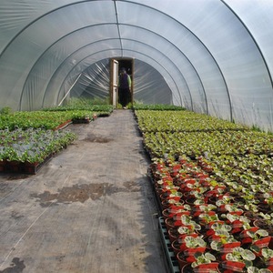 14ft Full Curve Polytunnel Kit, Heavy Duty Professional Greenhouse by Direct Polytunnels