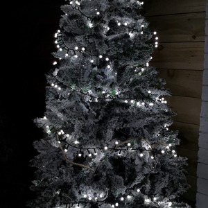 Frosted Berry Christmas Lights with LEDs by Samuel Alexander