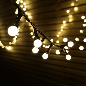 Frosted Berry Christmas String Lights by Samuel Alexander