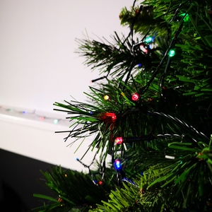 LED Christmas Multi Function Battery Lights with Timer - Multicolour by Samuel Alexander