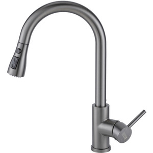 Stainless Steel Pull-Out Mixer Water Tap by Livingandhome