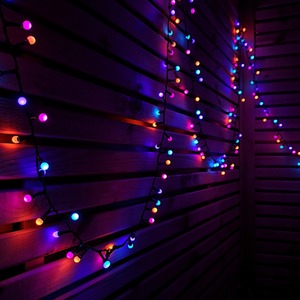 Frosted Berry Christmas Lights with LEDs by Samuel Alexander