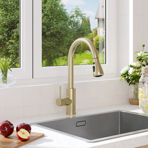 Stainless Steel Pull-Out Mixer Water Tap by Livingandhome