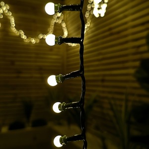 Frosted Berry Christmas Lights with LEDs by Samuel Alexander