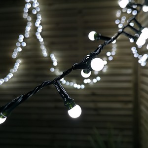 Frosted Berry Christmas Lights with LEDs by Samuel Alexander