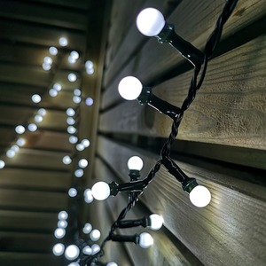 Frosted Berry Christmas String Lights by Samuel Alexander